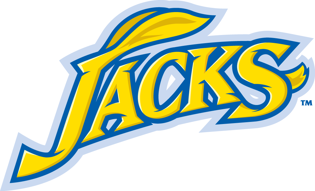 South Dakota State Jackrabbits 2008-Pres Wordmark Logo diy fabric transfers